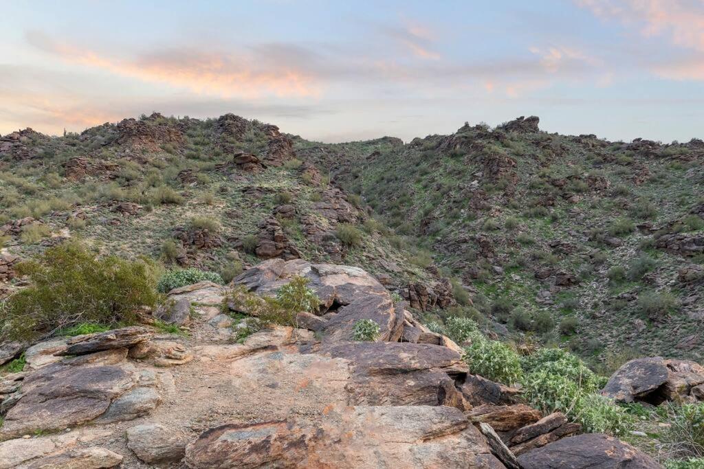 The Hummingbird House, Sauna & Mountain Views! Phoenix Exterior photo