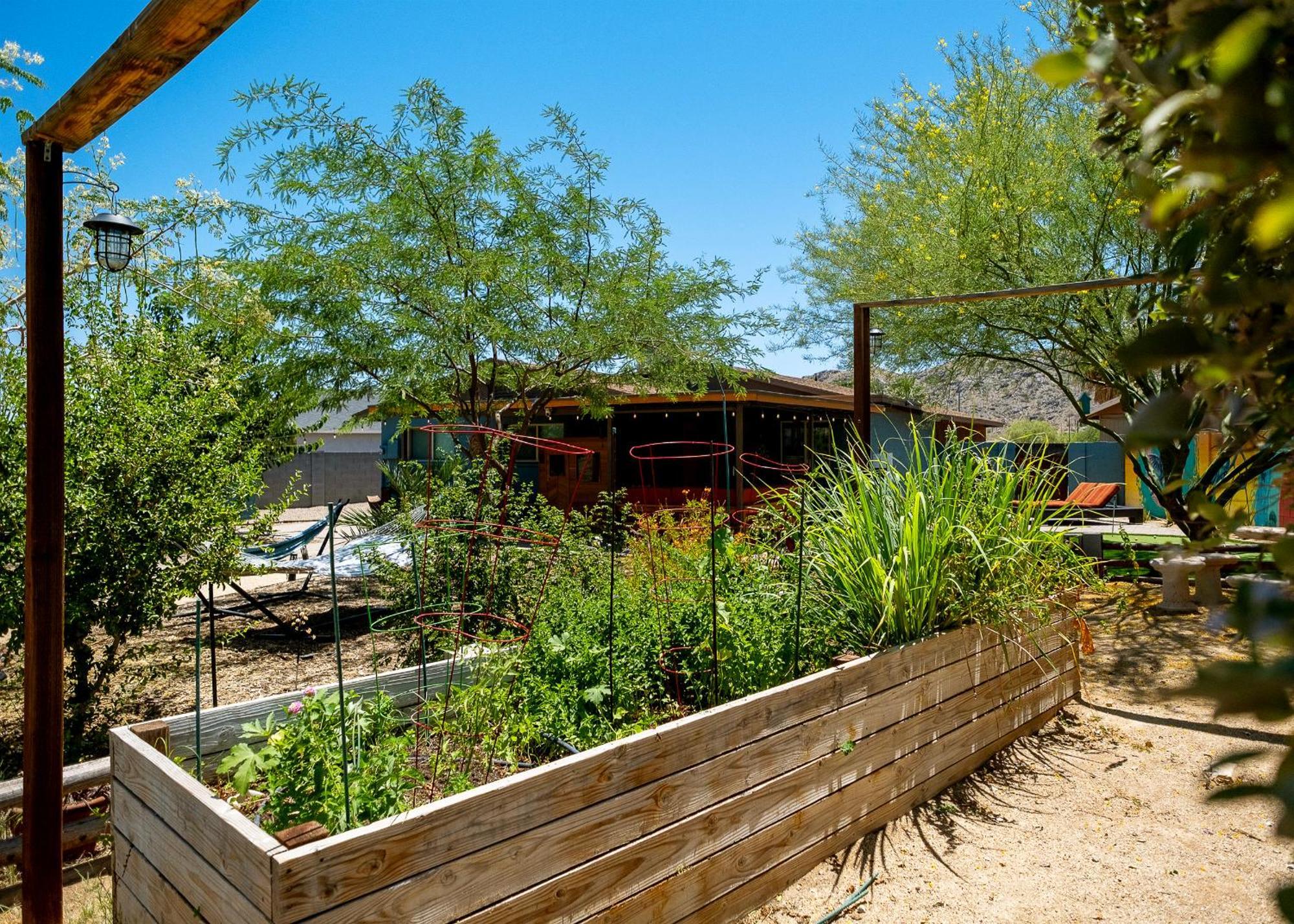 The Hummingbird House, Sauna & Mountain Views! Phoenix Exterior photo